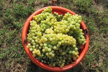 Agriturismo La Scuderia