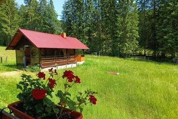 Pensjonat Cabana Colț De Rai