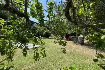 Pension Chambre D Hôtes Des Gâtines