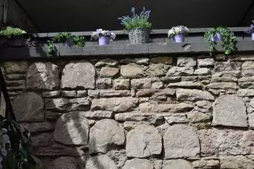 پانسیون Edinburgh 37