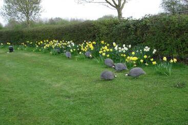 펜션 Pointers Guest House