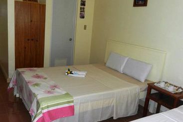 Kurort  Sunday Flower