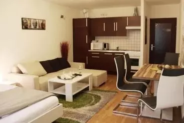 Apartment Quellenstrasse