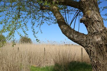 Birkelygaard Bed & Breakfast