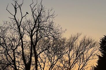Bed and Breakfast Tumbleweed Cottage