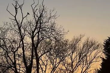 ベッドアンドブレックファースト Tumbleweed Cottage