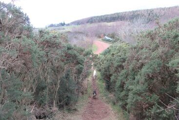 Kestrel, Longhouse Cottages