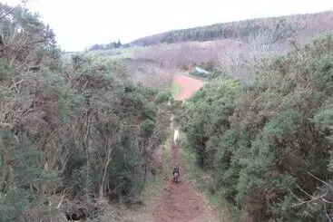 Kestrel, Longhouse Cottages