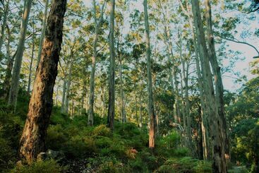 צימר Serenity House Pemberton