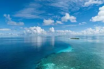 پانسیون One The Island