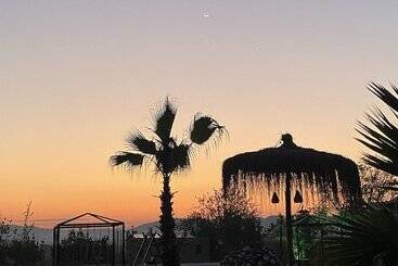 Bed and Breakfast Albizia Boutique