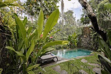 住宿加早餐  Bubu Mesari Ubud Villa