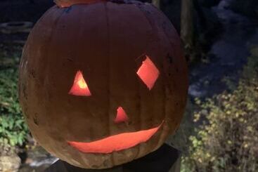 קוטג'' Villas At Gingershack Farms