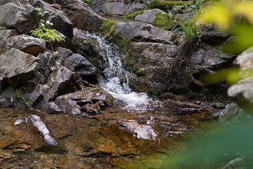 Pocheon Bearhill Pension