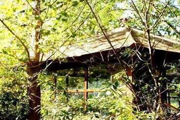 The Tree House Resort