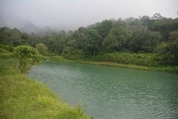 Hotel Magnolia Estates & Resort