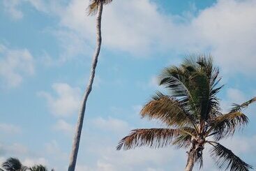 Hotel Phoenix By Kan