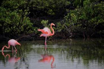 Rch Luxury Hotel & Pool