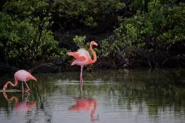 Rch Luxury Hotel & Pool