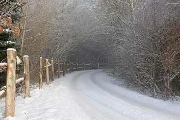 Storms Bed & Breakfast