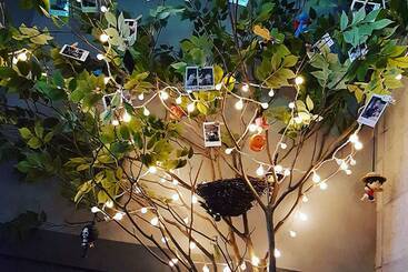 پانسیون Tongyeong Ara Guest House