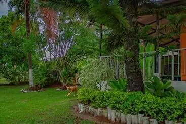 ペンション Los Palmares Hostel