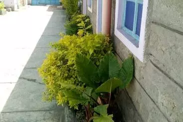 پانسیون My Choice Guest House   Adults Only