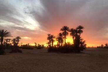 פנסיון Sahara Trips