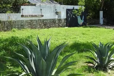 Aamiaismajoitus (B&B) Casa Viva Mérida