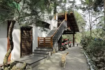 تختخواب و صبحانه Nine Trees Forest House