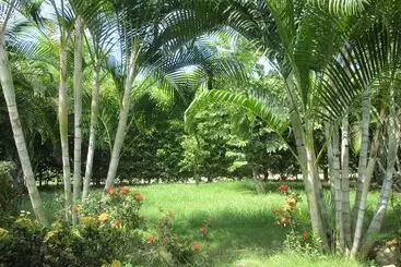 ホテル Ecogarden Cabanas Ecologicas
