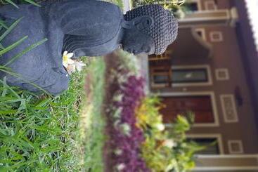 פנסיון Mango Tree Inn