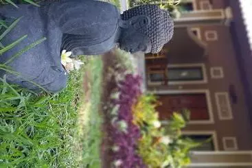 Пансион Mango Tree Inn