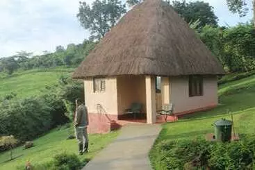 Chimpanzee Forest Guest House