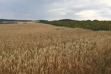 Pansiyon Les Templiers