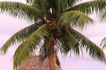 Pension Terau Beach Bungalow