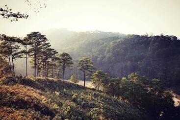 Green Bee Bungalow Hostel