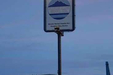 בית מלון כפרי Brooks Camp