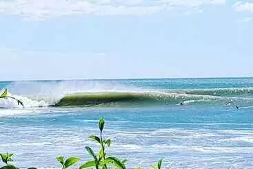 Casa Sirena Surf Lodge