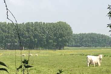 Пансион Domaine Château De Bourville