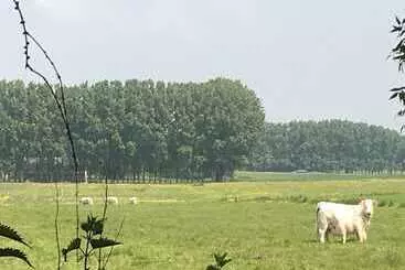 ペンション Domaine Château De Bourville