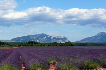 إقامة Odésia Vacances Domaine Du Thronnet
