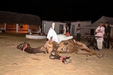 Gangaur Desert Resort By Park Tree