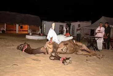 Gangaur Desert Resort By Park Tree