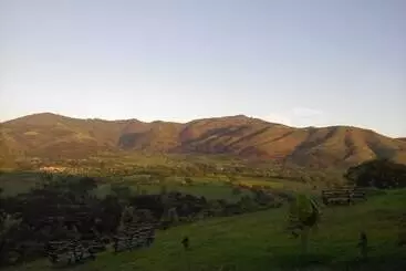 The Crested Crane Bwindi