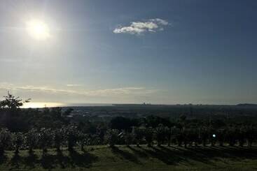 تختخواب و صبحانه Joy Garden