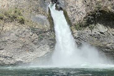 Сельский дом Cabañas Pewma Futrono