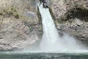 Casa Rurale Cabañas Pewma Futrono