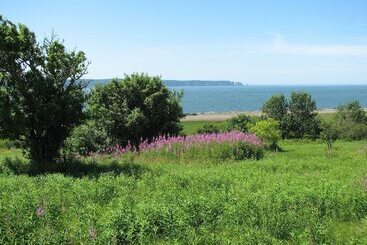 Cape Split View Cottages
