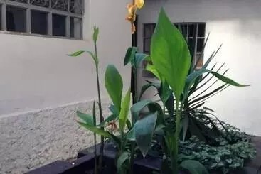 Chacha International   Hostel